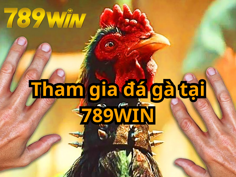 Tham gia đá gà tại 789WIN