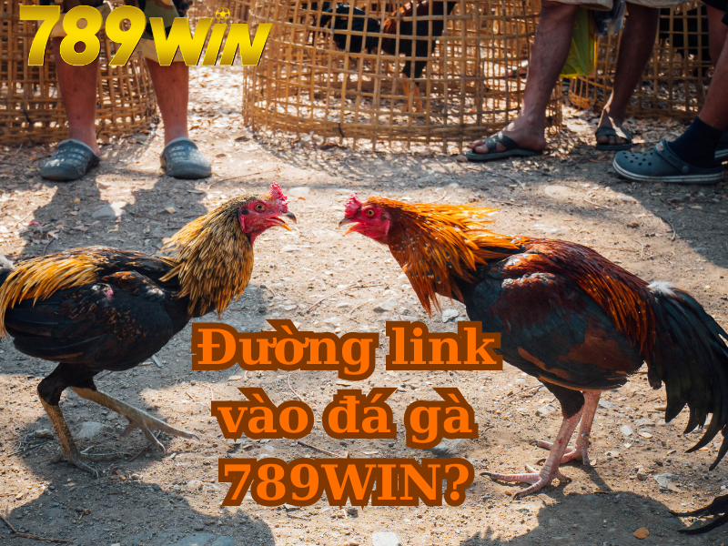 Đường link vào đá gà 789WIN?