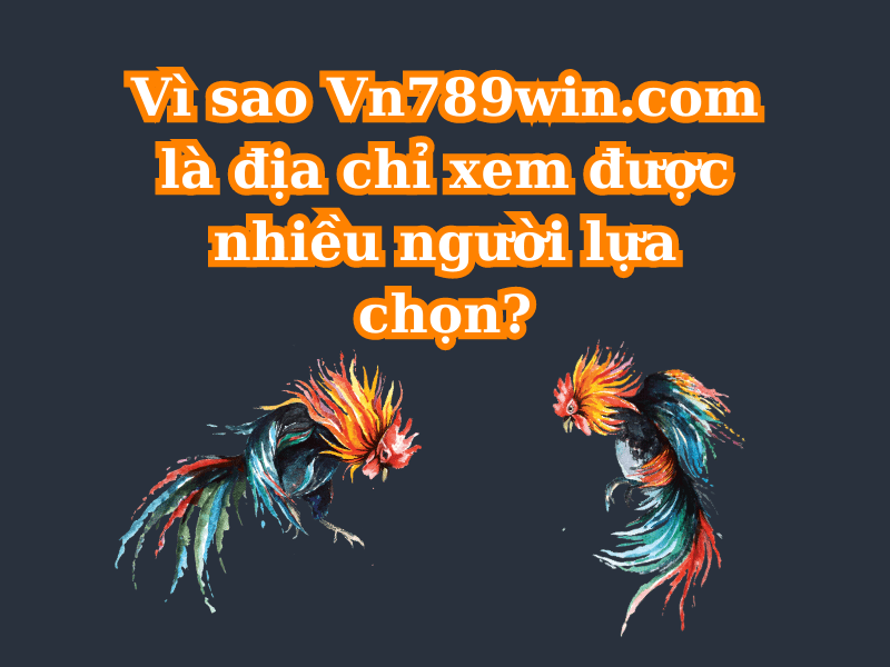 Vì sao 789WIN là địa chỉ xem được nhiều người lựa chọn?