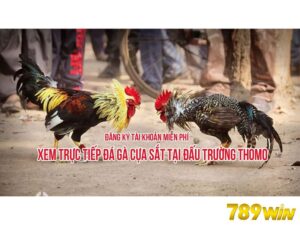 Cách Tạo Tài Khoản Đá Gà Thomo Chuẩn Tại Nhà Cái 789WIN