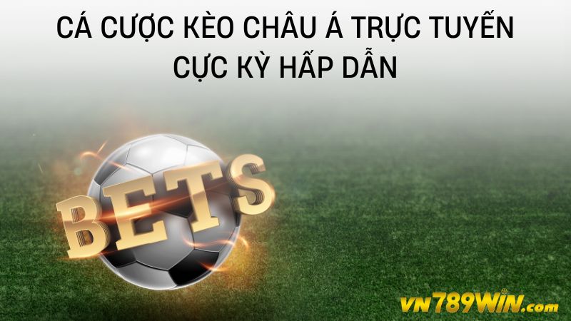 Cá cược kèo châu á trực tuyến cực kỳ hấp dẫn