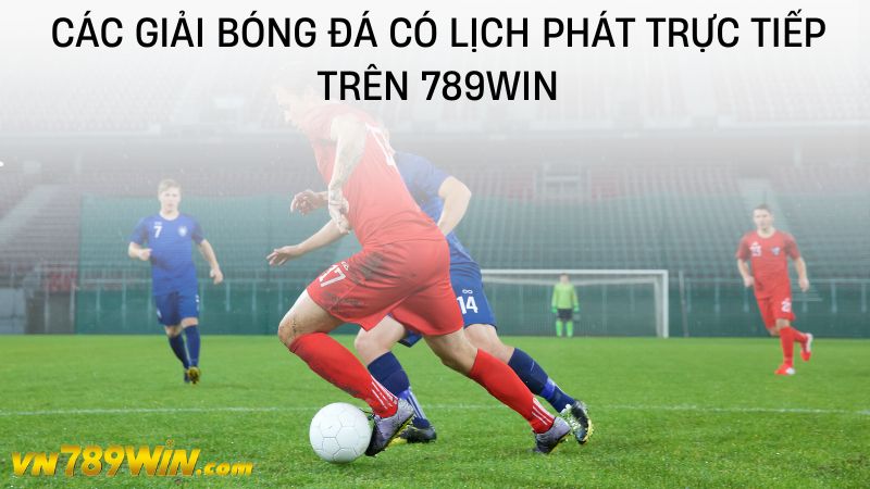 Các giải bóng đá có lịch phát trực tiếp trên 789WIN