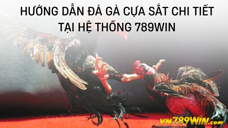 Hướng dẫn đá gà cựa sắt chi tiết tại hệ thống 789WIN