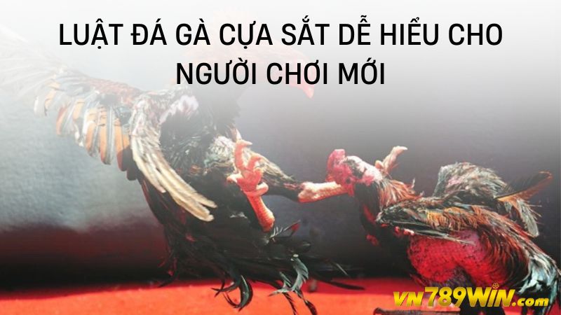 Luật đá gà cựa sắt dễ hiểu cho người chơi mới