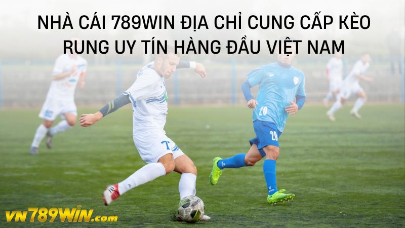 Nhà cái 789WIN địa chỉ cung cấp kèo rung uy tín hàng đầu việt nam