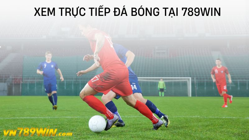 Xem trực tiếp đá bóng tại 789WIN