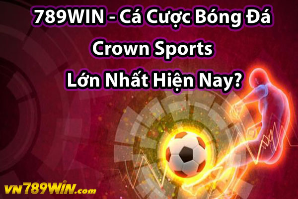 789WIN - Cá Cược Bóng Đá Crown Sports Lớn Nhất Hiện Nay?