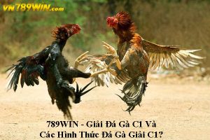 789WIN - Giải Đá Gà C1 Và Các Hình Thức Đá Gà Giải C1?