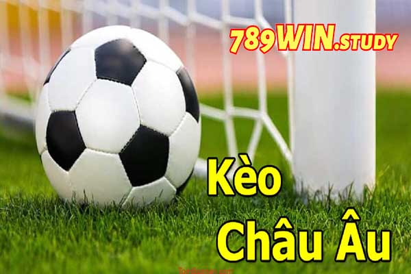 789win - Nền Tảng Cá Cược Châu Âu Uy Tín